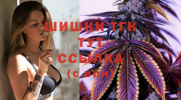 хмурый Горняк