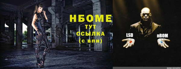 стафф Шадринск