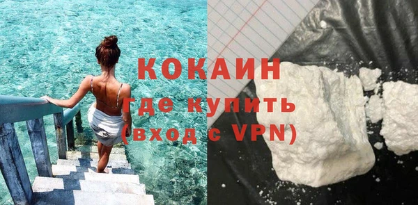индика Горнозаводск