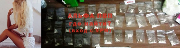 индика Горнозаводск