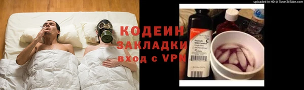 PSILOCYBIN Горно-Алтайск