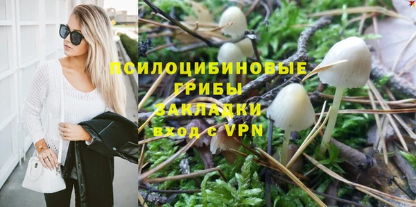 хмурый Горняк
