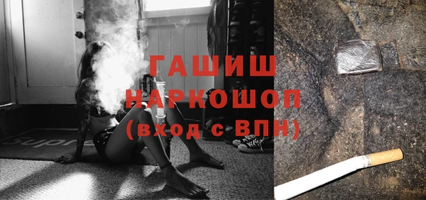 индика Горнозаводск