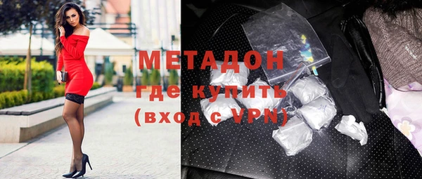 индика Горнозаводск