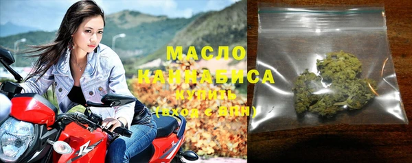 индика Горнозаводск