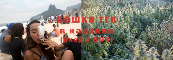 хмурый Горняк