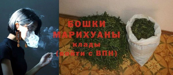 индика Горнозаводск