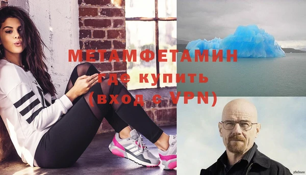 индика Горнозаводск