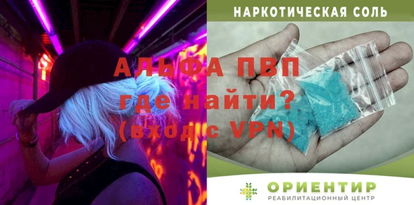 индика Горнозаводск