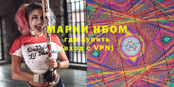 индика Горнозаводск