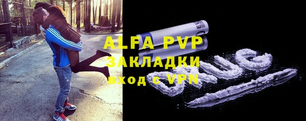 PSILOCYBIN Горно-Алтайск