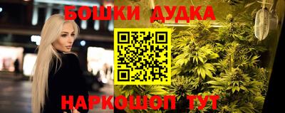 герыч Кингисепп