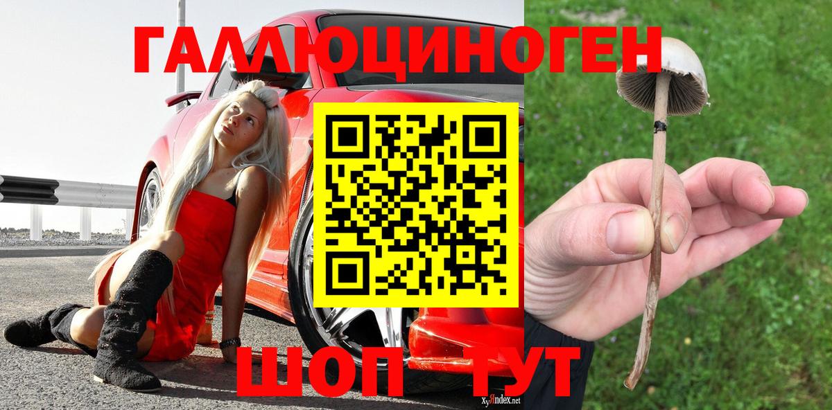 Острогожск  Псилоцибиновые грибы Psilocybe  Галлюциногенные грибы мицелий  Вход с VPN 