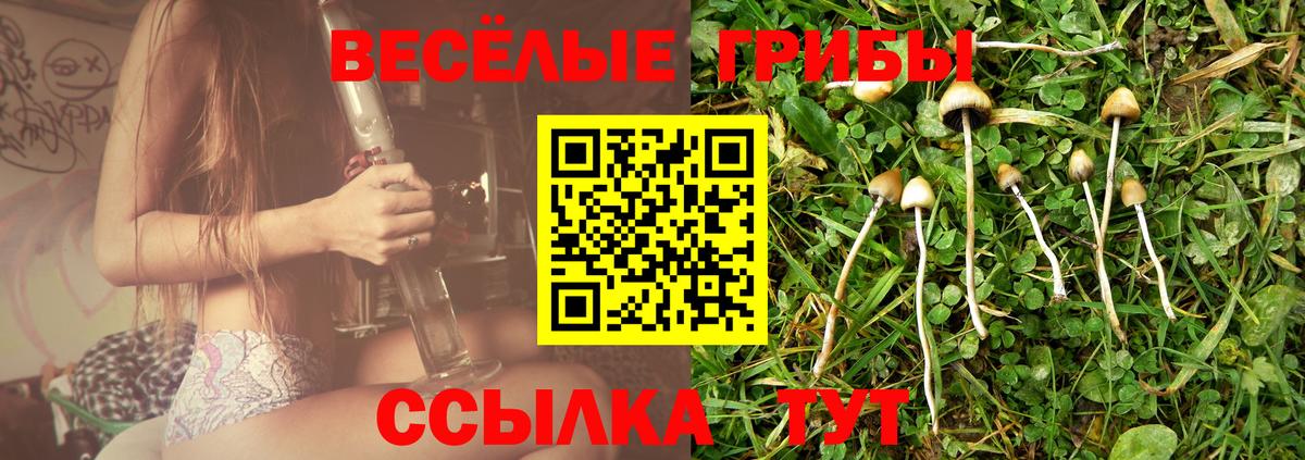 Псилоцибиновые грибы GOLDEN TEACHER Острогожск