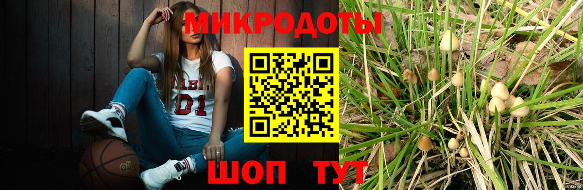 Псилоцибиновые грибы Cubensis  Острогожск  Псилоцибиновые грибы Magic Shrooms 