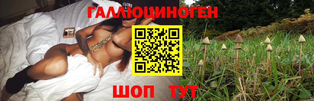 Псилоцибиновые грибы Magic Shrooms Острогожск